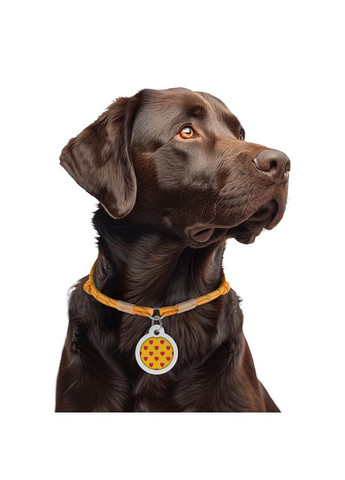 Шнурок з паракорду для адресника Smart ID, світловідбивний, розмір, діаметр 4 мм, довжина 42-76 см, золотий WAUDOG (322002554)