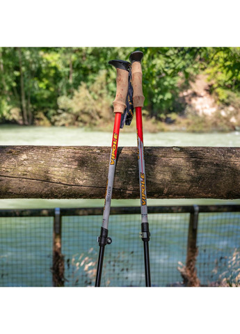 Палиці трекінгові Trekker Cork (S25 09) Vipole (373017931)