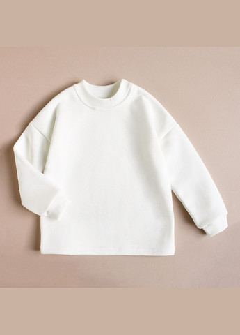 Тепла дитяча кофта ОВЕРСАЙЗ з начісом унісекс Ladan (301026266)