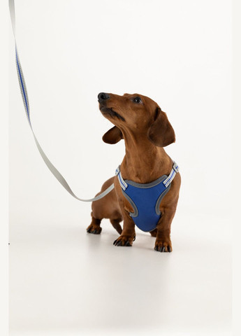 Шлея для тварин KM52634 (2002014440658) shop (2002014440658) KUMAOCHONGWUYONGPIN (363829769)