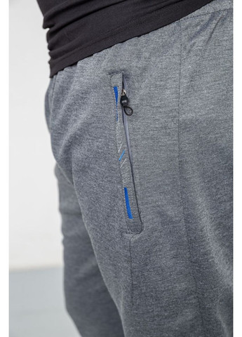 Серые демисезонные брюки Ager