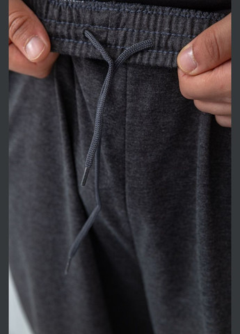 Темно-серые спортивные, кэжуал демисезонные брюки Ager