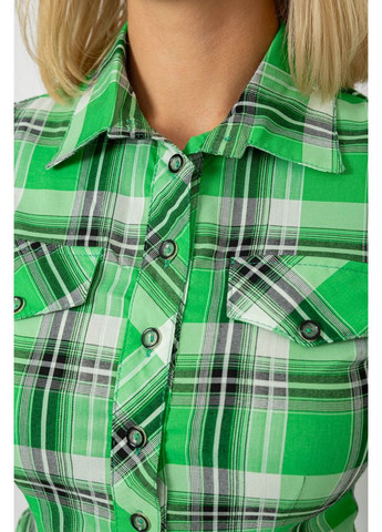 Зеленая рубашка Sport Line