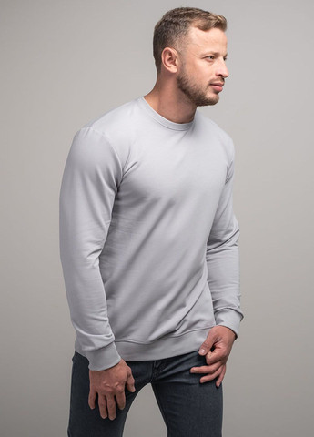 Серый свитшот мужской 341241 Power (266992017)