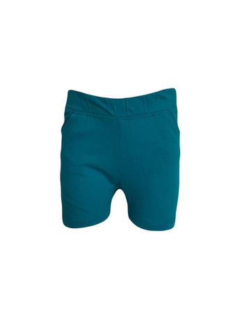 Шорты Бирюзовый Sprider (322996499)