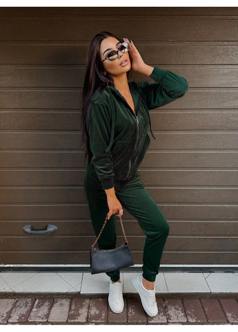 Велюровий костюм Fashion (357124062)