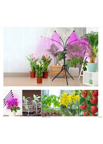 Светодиодный фитосветильник Green House Pro STAND (36W) со штативом 70-150 см Greenhouse (371875574)