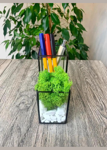 Органайзер для канцелярського приладдя, Підставка для канцелярії, Кейс для дрібниць із стабілізованим мохом No Brand (309159786)