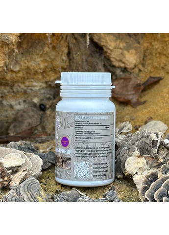 Траметес разноцветный, экстракт 10:1, молотый 50 г Лісовик (334711123)