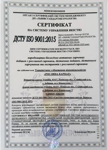 Гинкго Билоба (для улучшения памяти и мозгового кровообращения) 60 таблеток Рослина Карпат (370780154)