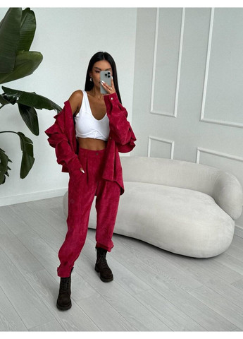 Жіночий костюм із вельвету Україна (354824178)