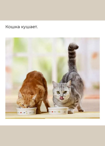 Соус "Поедайка" ТМ Моника для кошек и собак вкус "Птица" 85г. No Brand (328600587)