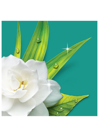 Універсальний засіб для миття підлоги і стін Ранкова роса 1.5 л Mr. Proper (304485097)