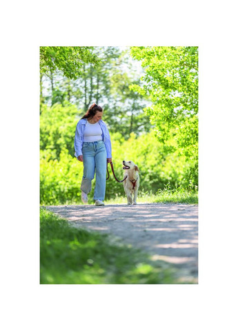 Повідок Cavo для собак регульований L–XL 2 м діаметр 18 мм рижий-графітовий Trixie (372504594)