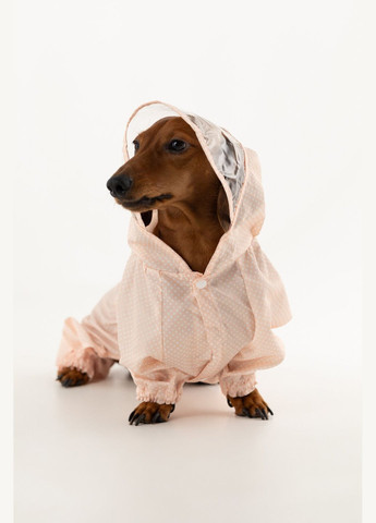 Комбинезон для животных KM52621 Розовый (2002014440528D) shop (2002014440528) KUMAOCHONGWUYONGPIN (363829761)