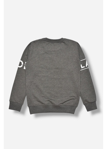 Кофта підліткова для хлопчика сірого кольору з принтом Let's Shop (365310279)