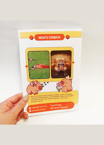 Подарунковий набір Капібара - пенал, пін, блокнот, листівка, наклейки No Brand (333342565)