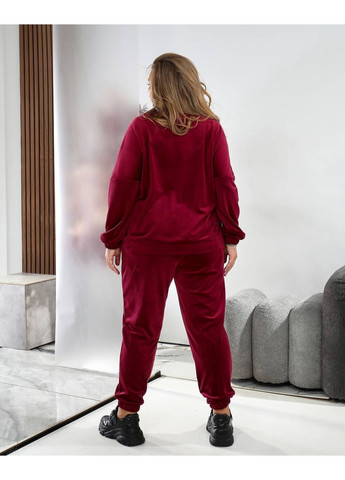 Жіночий велюровий спортивний костюм Asi.Store.ua (360861238)