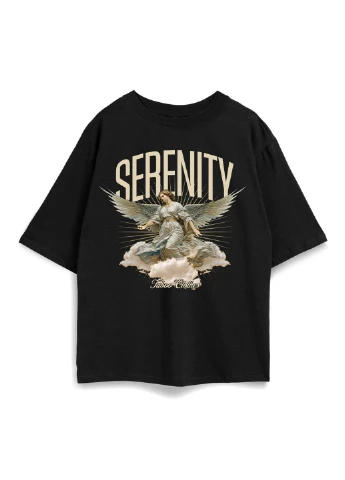 Футболка оверсайз унісекс Serenity Taboo clothing company (393334906)