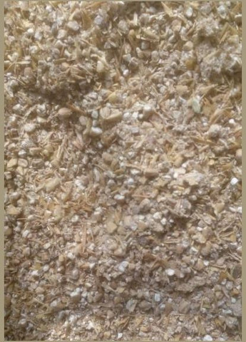 Печериця лугова 10 г Насіння країни (328607036)