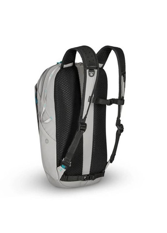 Рюкзак Pacsafe (335405303)