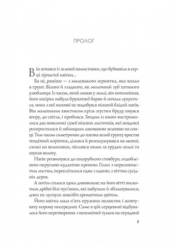 Книга Апельсин у калюжі / Людмила Баран (українською) Vivat (328904964)