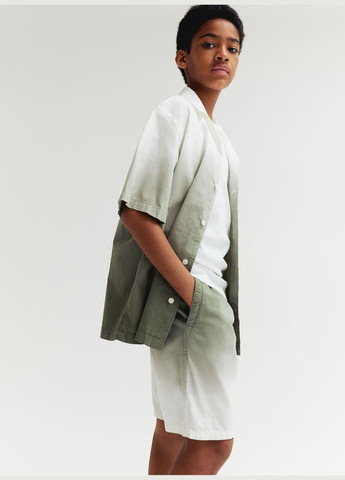 Шорты хлопковые для мальчика H&M (322871927)