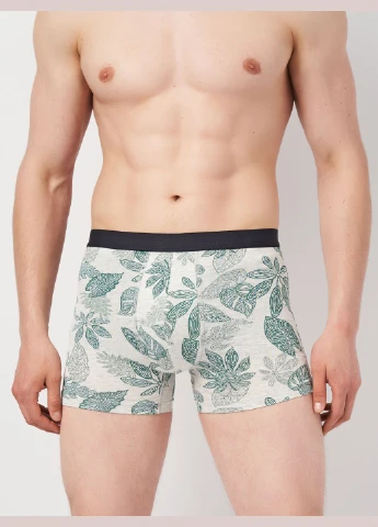 Труси (3шт) Basic Collection (315006481)