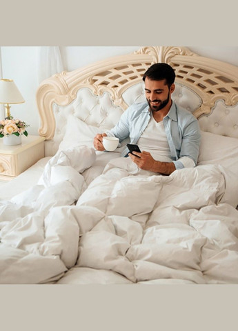 Ковдра Raffaello 053 зима+ 155x215 см 8061889 Mirson (316619425)