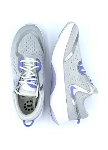Жіночі кросівки Nike сірі (302306752)