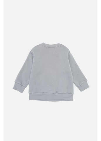 Серый зимний костюм с штанами для мальчика цвет серый цб-00283910 Iggy