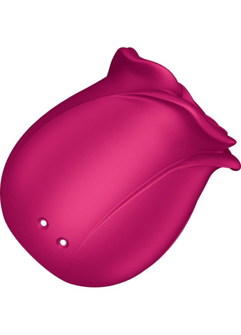 Вакуумный клиторальный стимулятор Pro 2 Classic Blossom, технология Liquid Air Satisfyer (315498010)
