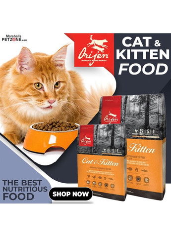 Сухой корм для молодых и взрослых кошек всех пород Cat & Kitten 340 г (o28034) Orijen (364786432)