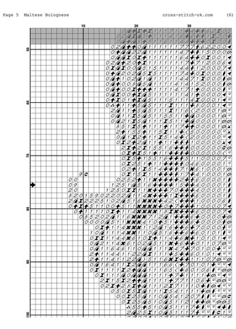 Maltese Bolognese Joy Sunday (314985839)