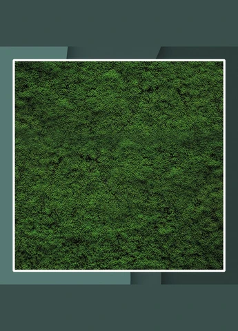 Вініловий фотофон 75х150см, Frontlit 450 г/м2, стіна + підлога №59280 PhotoVinyl (354372642)