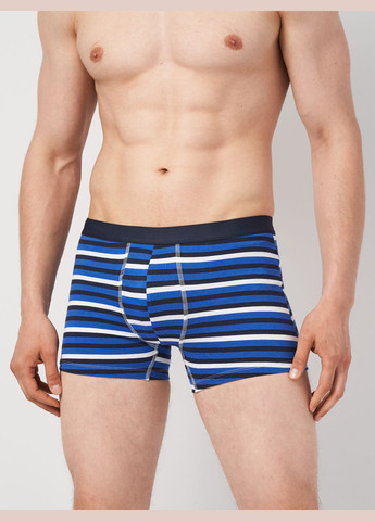 Труси (3шт) Basic Collection (295079758)