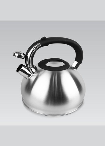 Чайник зі свистком для плити 3 л (MR-1334) Maestro (334712985)