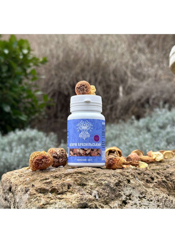 Агарік бразильський, екстракт 10:1, мелений 50 г Лісовик (334293039)