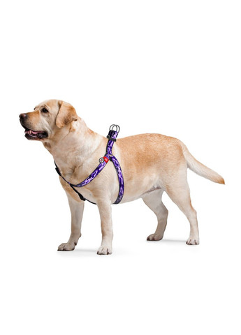 Шлея для собак анатомічна Nylon "Фіолетовий камо" пластиковий фастекс, Ш 15 мм, Д 4055 см WAUDOG (279563977)