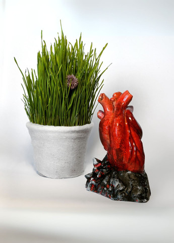 Скульптура анатомічне серце на куті 15 см. Червона гіпсова статуетка ручної роботи | Декор, подарунок No Brand (328600855)