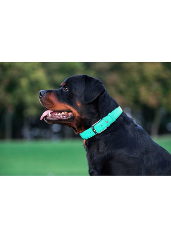 Нашийник для собак шкіряний Glamour з QR паспортом, без прикрас,, Ш 25 мм, Дов 38-49 см ментоловий WAUDOG (322001994)