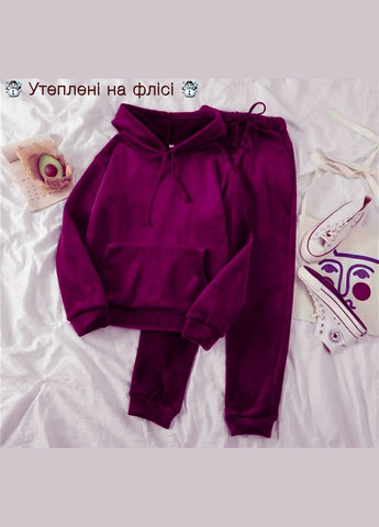Спортивный костюм велюровый теплый НА ФЛИСЕ Nositi (305569882)