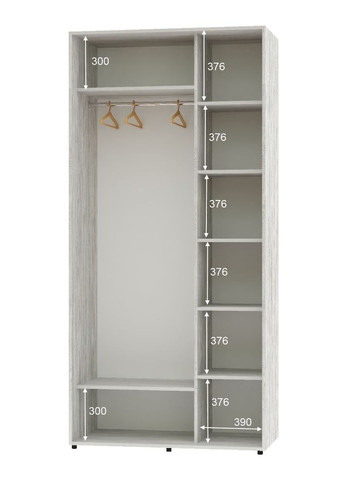 Шафа-купе дводверна 110*60*220 Сосна Натті Дзеркало/Дзеркало з піскострумним малюнком Алекса (360475282)