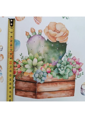 Вінілова наклейка Квіти в горщиках сукуленти (лист 50 х 70 см) No Brand (402382708)