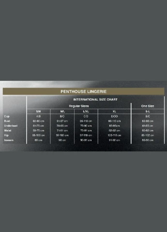 Чорний демісезонний комплект penthouse — midnight mirage black xl (м'ята упаковка) No Brand