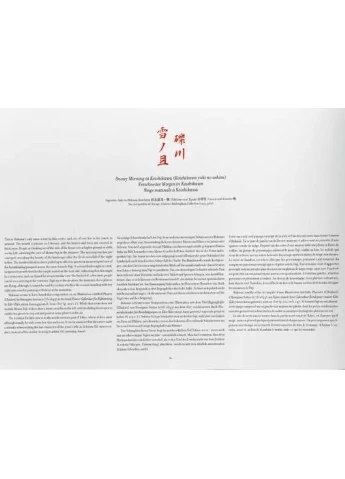 Хокусай. Тридцать шесть видов Фудзи Taschen (385600597)