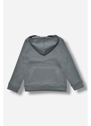 Let's Shop світшот дитячий для хлопчика на флісі темно-сірого кольору малюнок темно-сірий кежуал двунитка