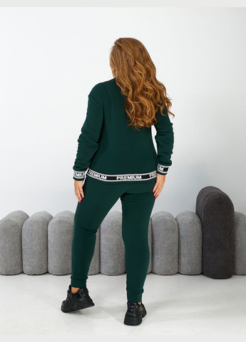 Спортивный костюм на флисе No Brand (301581219)