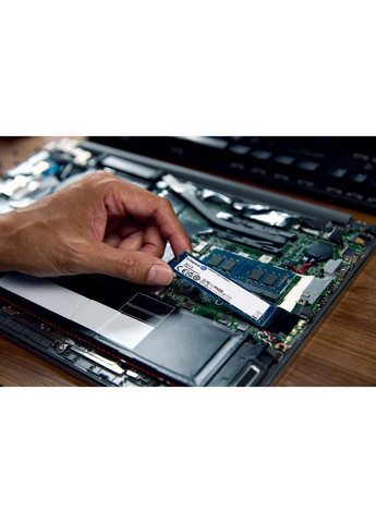 Накопичувач SSD M.2 2280 4TB (SNV3S/4000G) Kingston (323640239)