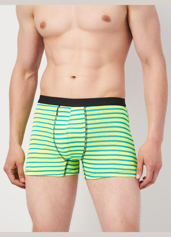 Труси (3шт) Basic Collection (295404431)